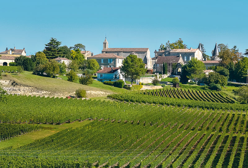 The vineyards of Saint-Emilion, France