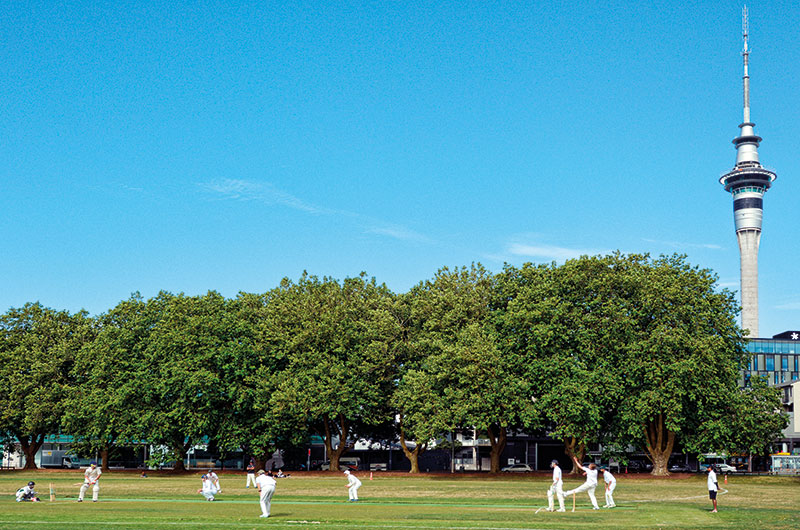 Auckland, New Zealand, Cricket in Victoria Park
